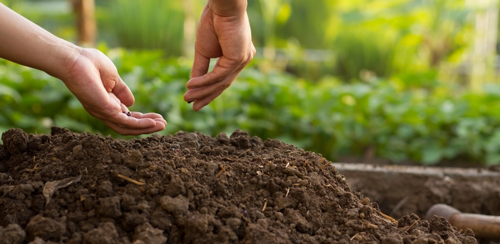 Productores, agricultores